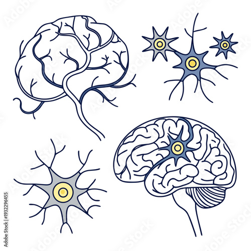 Brain and neuron cell illustrations with blue and yellow details for medical science