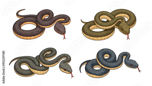 Hand-drawn set of four coiled snake illustrations in diverse colors, isolated on a white background