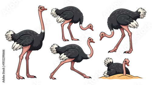 Set of Cartoon Ostrich Poses. Funny African Bird Character Vector Illustration Isolated on White Background.