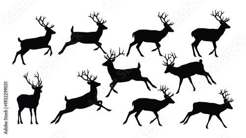 A group of deer silhouettes running together isolated on white background, Vector