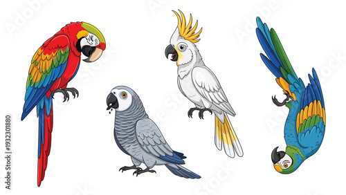 Vibrant Cartoon Parrots Collection: Macaw, Cockatoo, African Grey Illustration Set