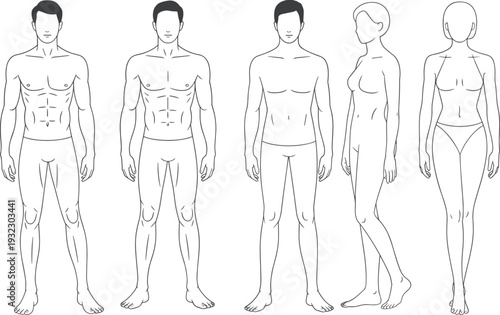 Male female anatomy study human body musculature comparison flat vector