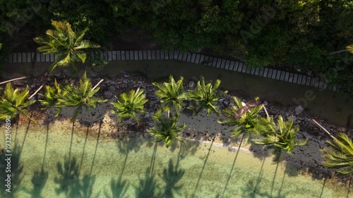 Aerial Drone Pullback Shot of Tropical Coastline with Palm Trees, Boardwalk and Eagle Flying Over Crystal Clear Water