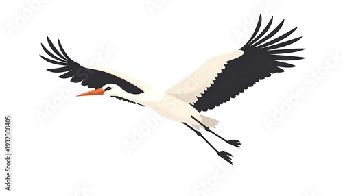 A white stork in flight, wings outstretched against a plain white backdrop. The bird's black and white feathers are detailed