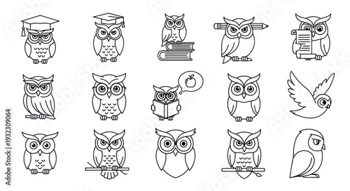 Cute Owl Character Collection: Education, Wisdom, and Knowledge Icons