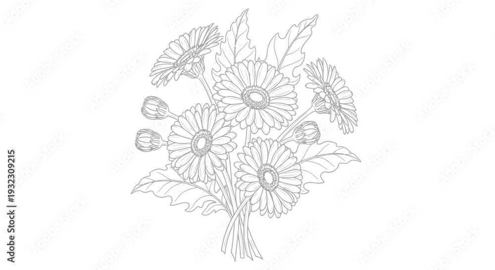 Fototapeta premium Outline drawing of a bouquet of daisies and buds, line art floral illustration