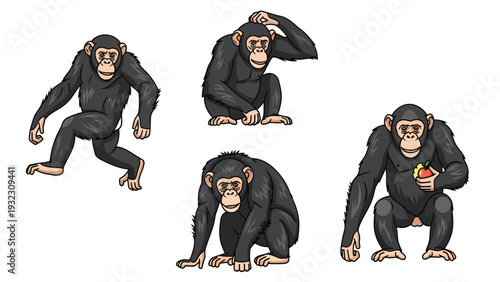Cartoon Chimpanzees in Various Poses: Walking, Sitting, Scratching Head, and Eating Fruit Illustration