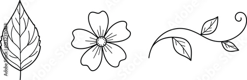 Botanical line art elements featuring leaf, flower, and decorative branch in minimalist outline style for nature themed design, eco branding, and elegant floral illustration use