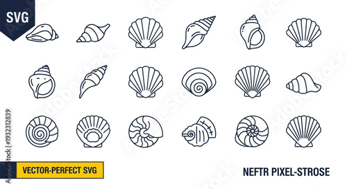 Seashell Icon Set: Marine Life Collection, Oceanography, Beach Treasures