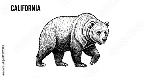 California Grizzly Bear Illustration - Symbol of the Golden State