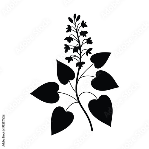 Black silhouette of a flowering plant with heart shaped leaves
