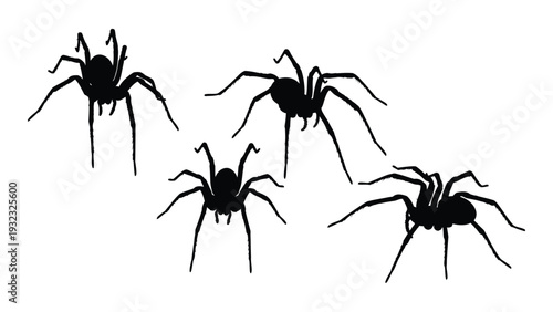 A group of spiders on a white background isolated on white background, Vector