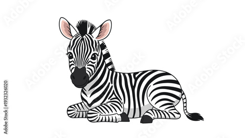 Beautiful zebra with black and white stripes lying down peacefully on a plain white background illustration.
