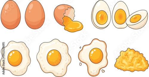 Fresh Chicken Egg Vector Set with Whole Shells, Fried Eggs, Scrambled Eggs, Boiled Halves, and Cracked Shell with Yolk for Breakfast and Culinary Food Designs