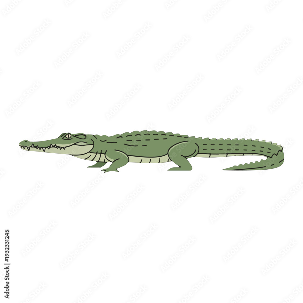 Fototapeta premium Illustration of a Green Crocodile