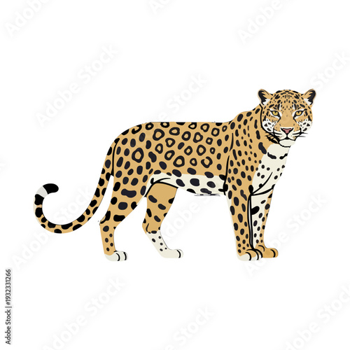 Jaguar Standing Profile View illustration