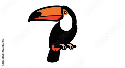 Cartoon Toucan Bird Illustration with White Background.