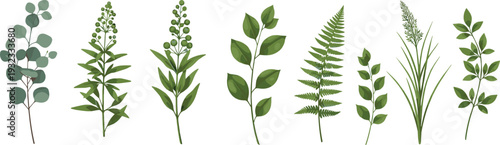 Green Botanical Plant Collection with Leaves Fern and Wild Herbs Isolated on White Background for Natural Design and Eco Themed Illustrations