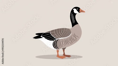 Gray goose standing on beige background looking right black neck and head orange beak and legs white accents