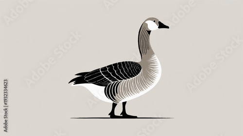 Detailed illustration of a canada goose with black and white feathers standing alone on a plain background
