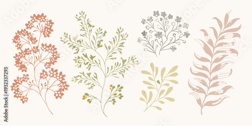 Botanical illustration featuring various leafy branches and floral arrangements