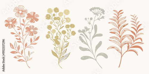 Delicate botanical illustration featuring various wildflowers and foliage