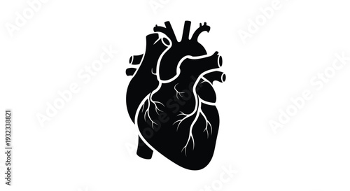 Anatomical illustration of a human heart in stark black silhouette