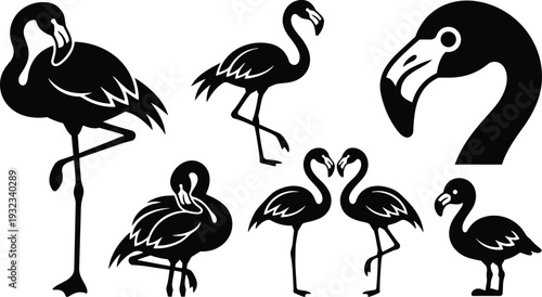 Minimalist flat silhouette vector set of seven flamingo icons showing standing one leg preening walking facing each other close up head profile in black and white