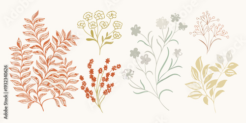 Botanical illustration featuring various wildflowers and leafy plant arrangements