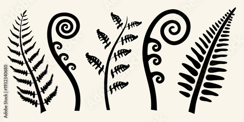 Stylized black fern fronds and spirals on a neutral background