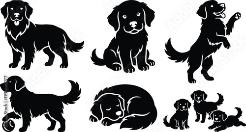 Flat vector art set of golden retriever silhouettes in multiple poses including standing sitting jumping sleeping playing and puppy trio isolated on white background friendly