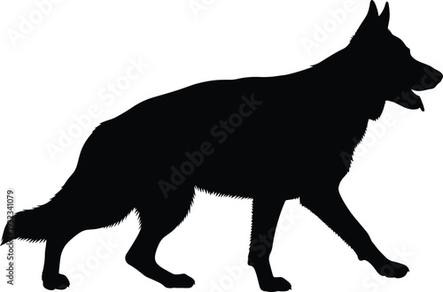 German Shepherd dog silhouette walking in profile view facing right, detailed vector illustration highlighting upright ears, strong build, bushy tail, domestic animal anatomy design concept