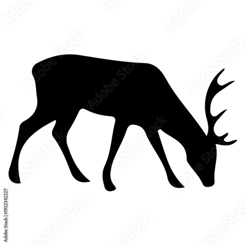 Silhouette of a Grazing Deer with Antlers