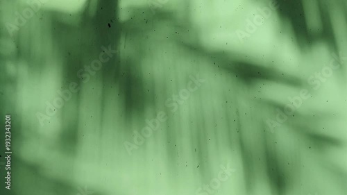 The shadow of a swaying coconut leaf on a bright green wall. 