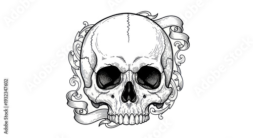Ornate Skull with Swirling Ribbons