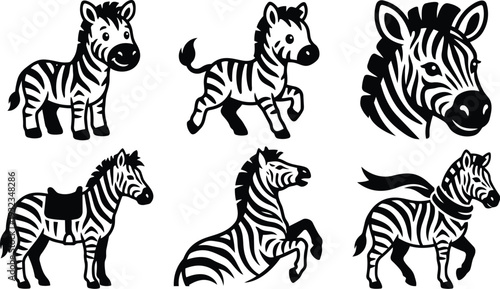 Flat design close up zebra head and six playful zebra icon set showing foal running trotting rearing and saddle view on white background bold black stripes