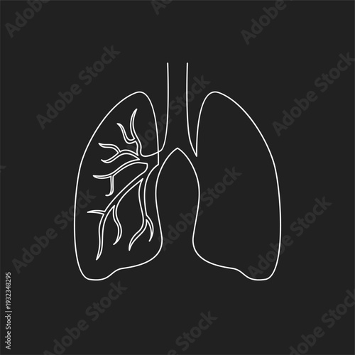 Human Lungs Line Art Icon with Bronchial Tree Showing Respiratory System Anatomy on Black Background