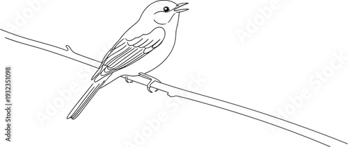 Simple black and white line art illustration of a cute small songbird perched on a thin tree branch, singing cheerfully.
