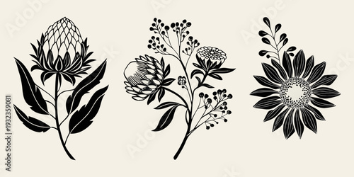 Elegant botanical illustration featuring various black floral arrangements