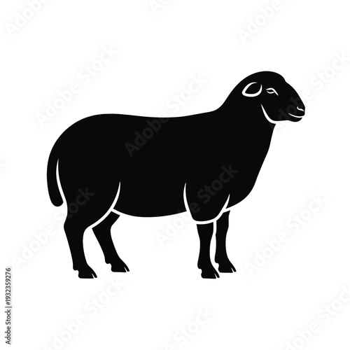 Black sheep silhouette standing on white background