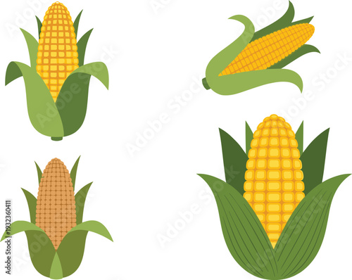 Vector Illustration of Corn on the Cob with Husk for Agricultural, Food, and Healthy Eating Designs
