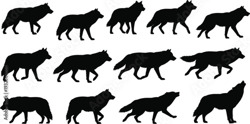 Black wolf silhouettes in walking and running motion sequence, side profile illustration showing animal gait progression, perfect for animation, biology, design, and wildlife themed projects