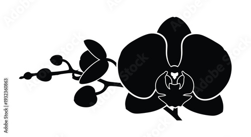 Black silhouette of an orchid flower with leaves and a stem against white