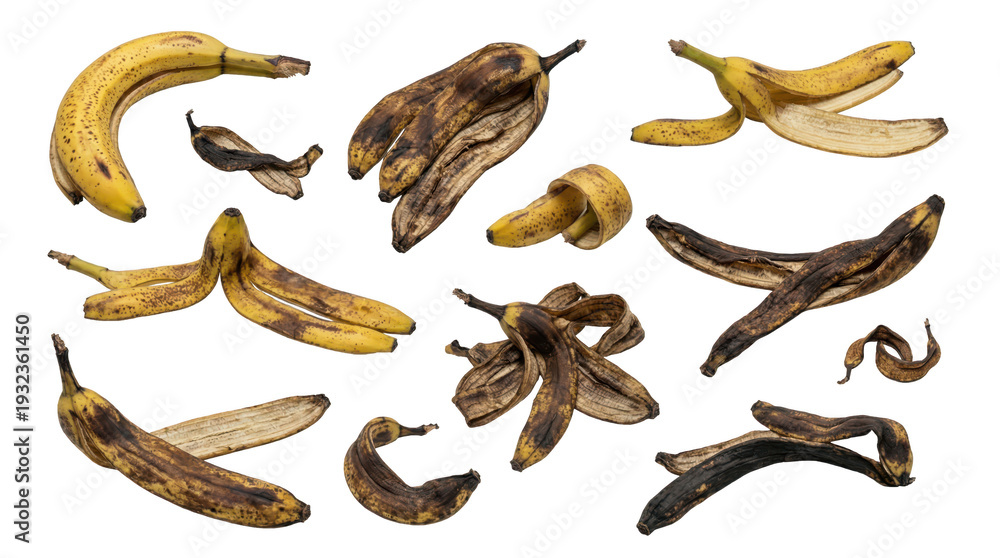 Obraz premium Various banana peels illustrating stages of decomposition, decay, and food waste.