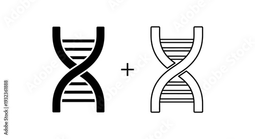 Dna combination vector Vector