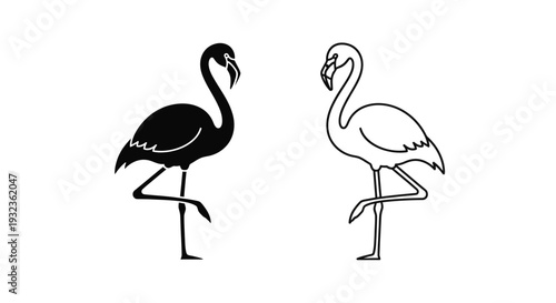 Two birds standing together Vector