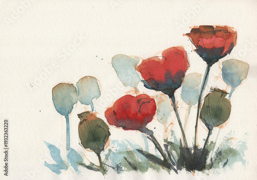 Set of elegant red poppy flowers hand-painted in watercolor on textured paper. Loose and expressive botanical illustrations featuring green buds and artistic splatters, perfect for spring designs, 