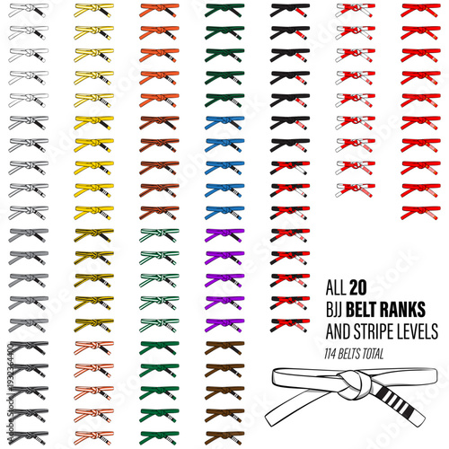 Brazilian Jiu Jitsu Belt Ranking System with Stripe Levels – Complete BJJ Vector Set