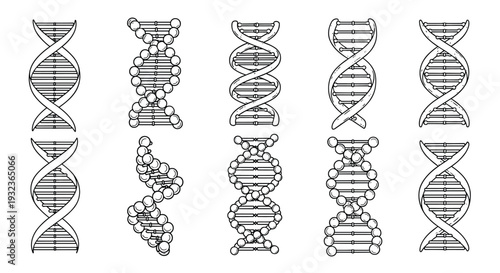 Collection of different DNA double helix structures and molecular spiral models presented in a clean line art style.