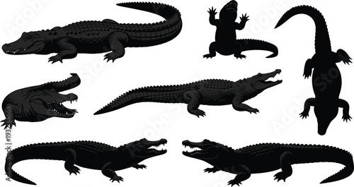 Silhouette collection of crocodiles and alligators in diverse poses, walking, lying, open mouth, side view, top view, reptile wildlife illustration set